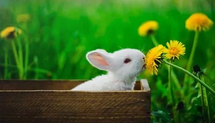 乐鱼体育网址-U23国足目标瞄准半决赛